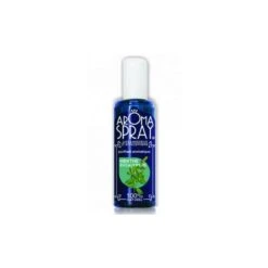 AROMA SPRAY MENTHE EUCALYPTUS 100ML SAINT COME